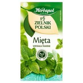 HERBATA EXP HERBAPOL ZIELNIK POLSKI MIĘTA 20*2 g